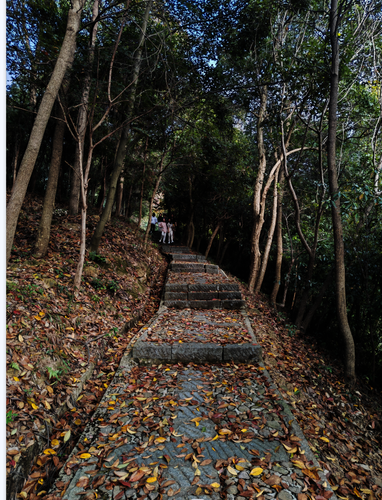 6YSNLNUWZ}`C)NW64O7H2P4